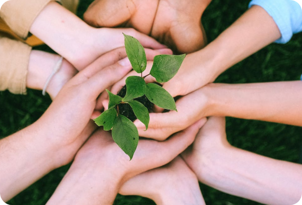 Light on your pocket, and easy on the planet. 